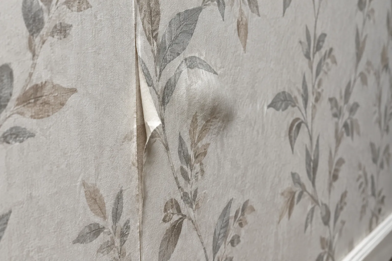Sambungan wallpaper bermotif daun terangkat dari dinding