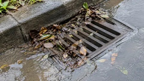 Kisi drainase tersumbat daun di jalur air