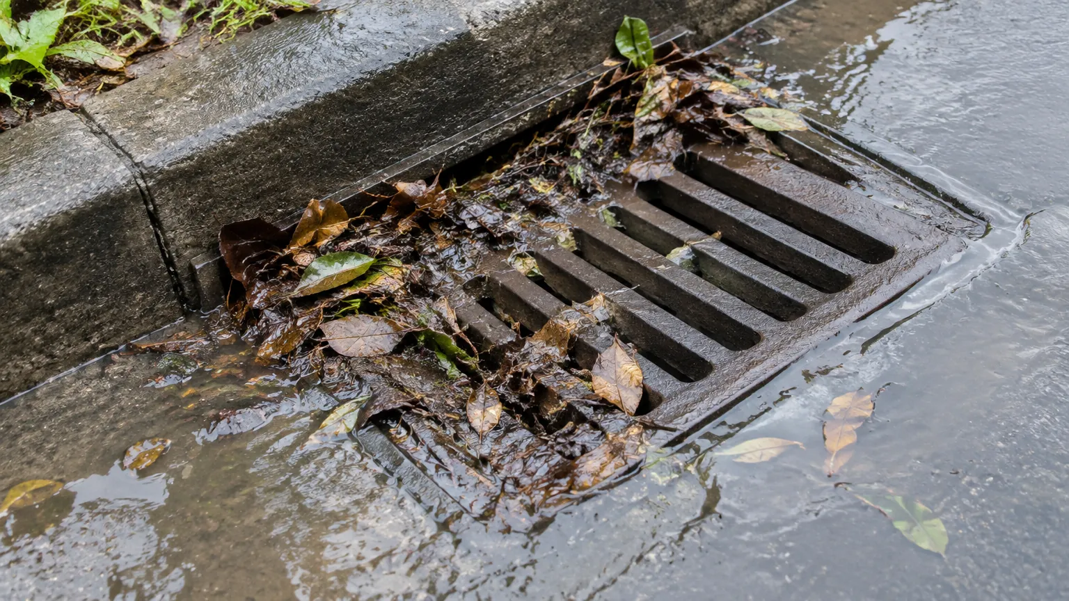 Kisi drainase tersumbat daun di jalur air