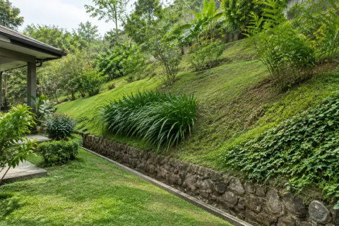 Lereng halaman rumah dengan rumput dan tanaman penutup