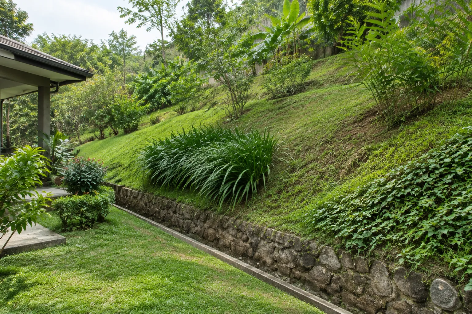 Lereng halaman rumah dengan rumput dan tanaman penutup