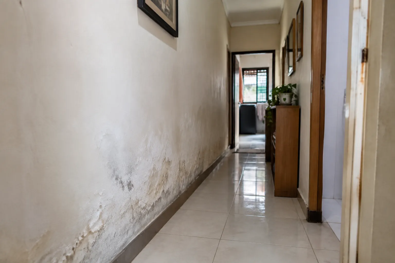Noda lembap dan cat mengelupas tampak pada dinding bawah lorong