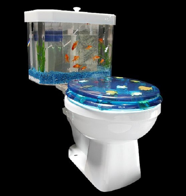 toilet akuarium