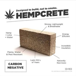 Murah dan Ramah Lingkungan, ‘Hempcrete’ Material Rumah yang Terbuat dari Serat Tanaman Ganja