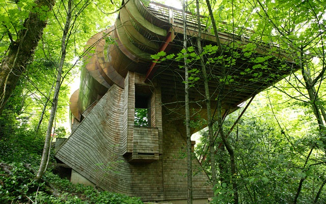 rumah unik wilkinson residence