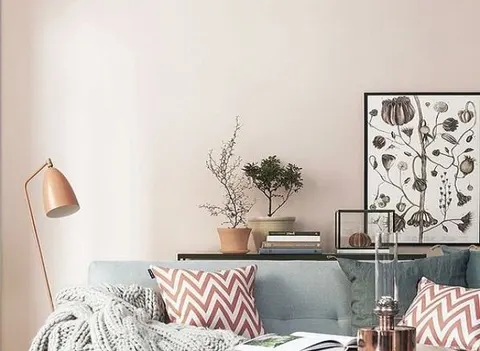 Baby Pink: Skema Warna yang Cantik dan Elegan