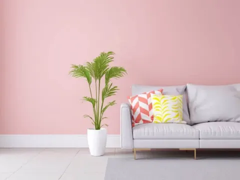 warna cat rumah