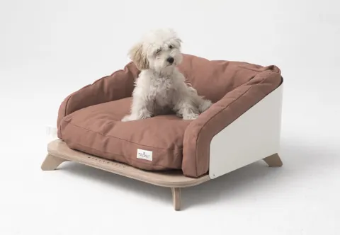 Pet Furniture; Solusi Furniture untuk Pemilik dan Hewan Peliharaannya