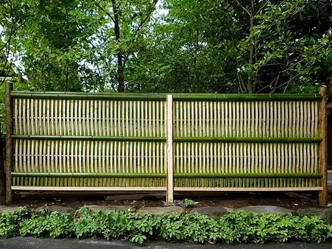 7 Jenis Bambu untuk Pagar Rumah yang Cocok dengan Berbagai Gaya Arsitektur