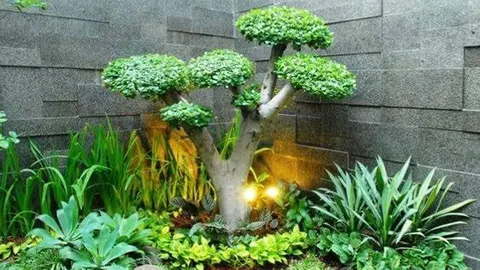 5 Jenis Pohon Taman Rumah Ini Akan Menambah Keasrian dan Keindahan!