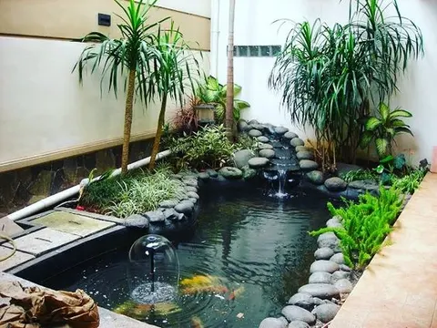 Cara Mengubah Lahan Sempit Kolam Ikan Mini Di Teras Rumah Menjadi Lebih Indah