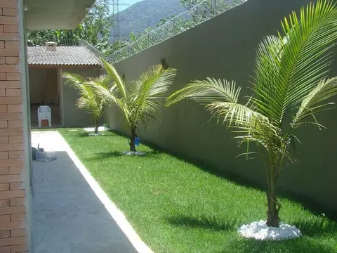 Rumput Taman Rumah: Manfaat Dan Cara Perawatan yang Baik dan Benar