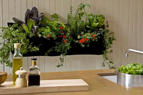 Inspirasi Desain Taman Indoor di Dapur untuk Suasana Segar dan Alami