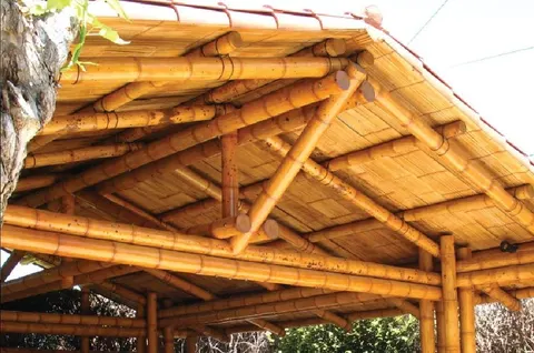 Panduan Memilih Atap Bambu Beserta Tips dan Triknya