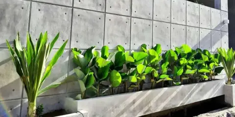 Pagar Rumah dengan Rak Tanaman dan Vertical Garden
